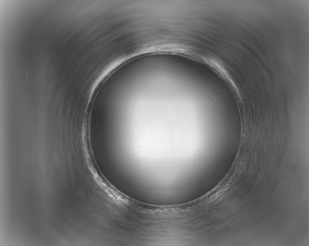 X0000059220952200510140756