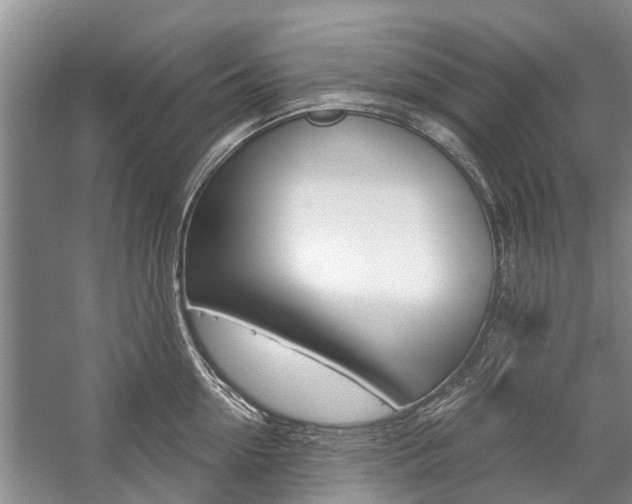 X0000059220954200510140756