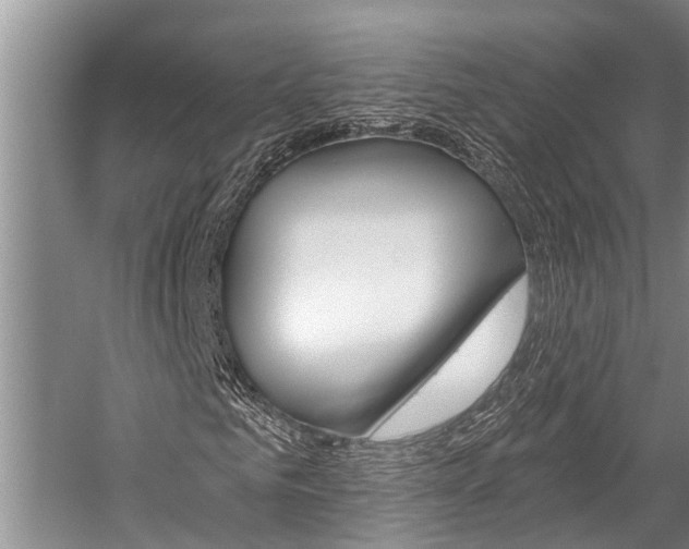 X0000059220961200510140755