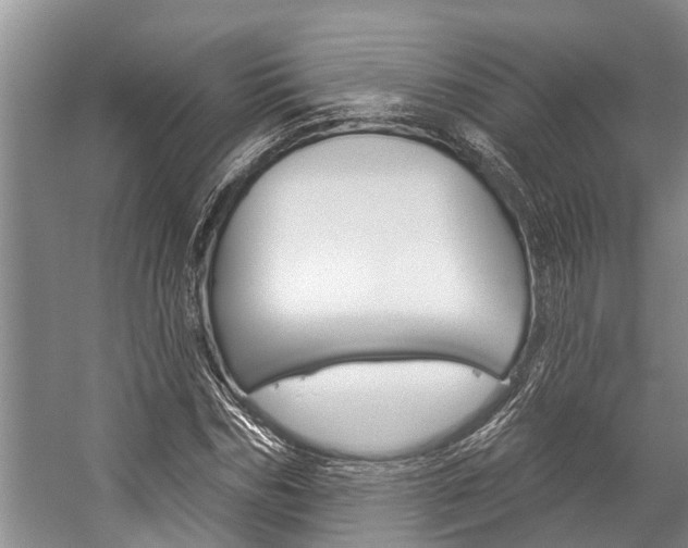 X0000059220970200510140755
