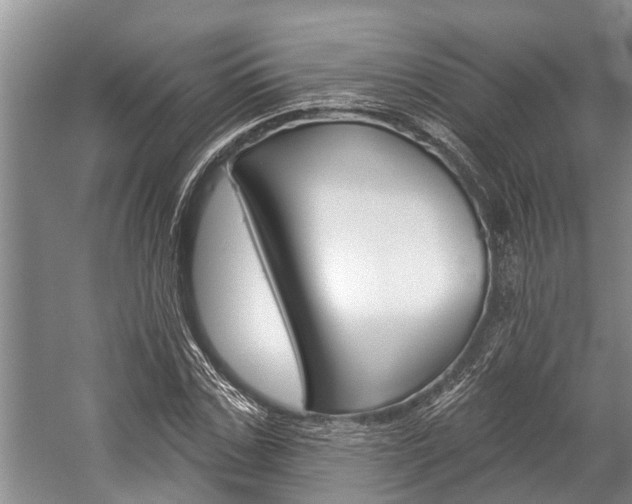 X0000059220971200510140755