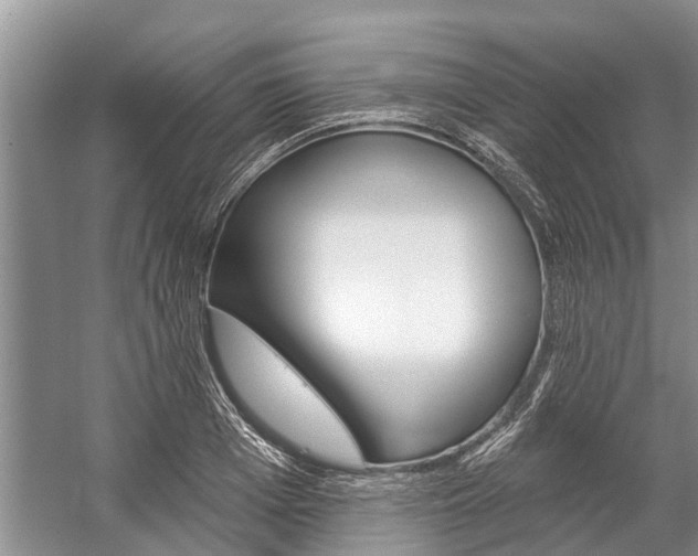 X0000059220985200510140755