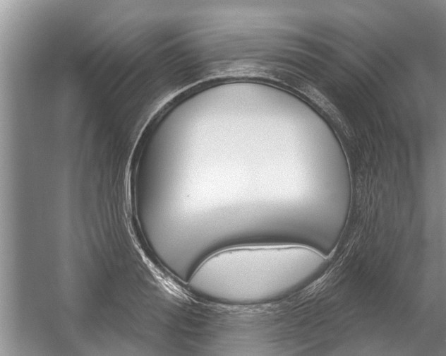X0000059220988200510140755