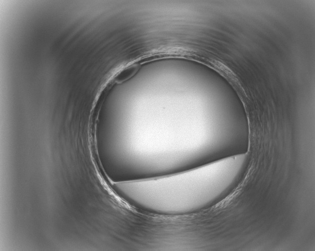 X0000059220989200510140754