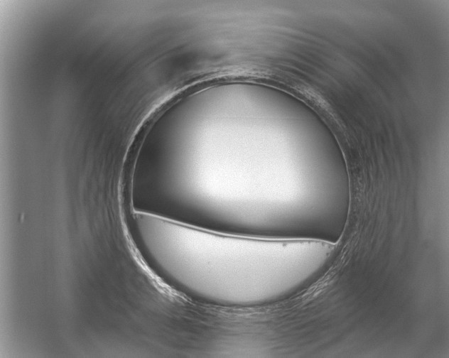 X0000059220991200510140754