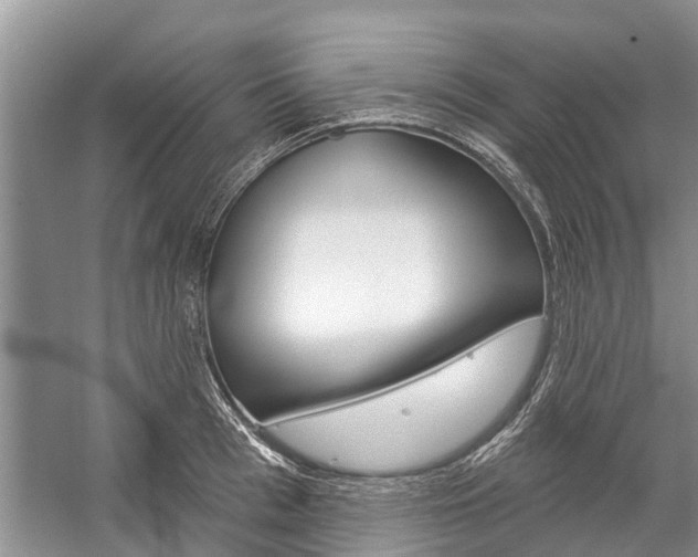 X0000059220993200510140754