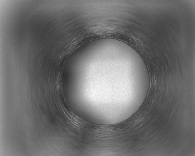 X0000059221012200510140753
