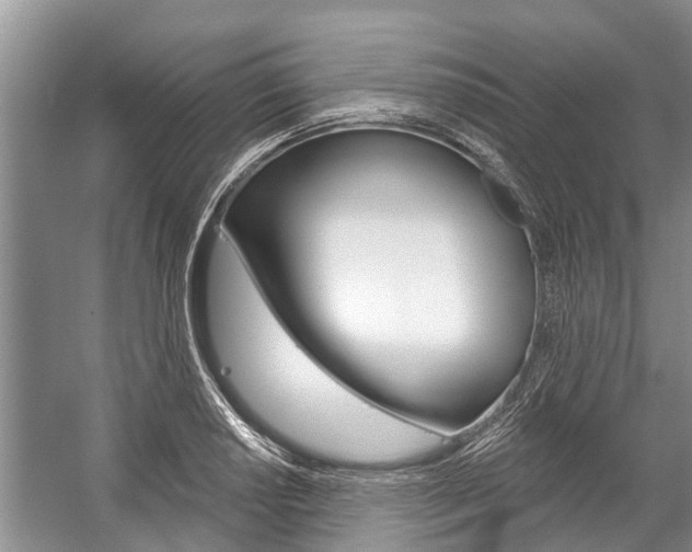 X0000059221034200510140754