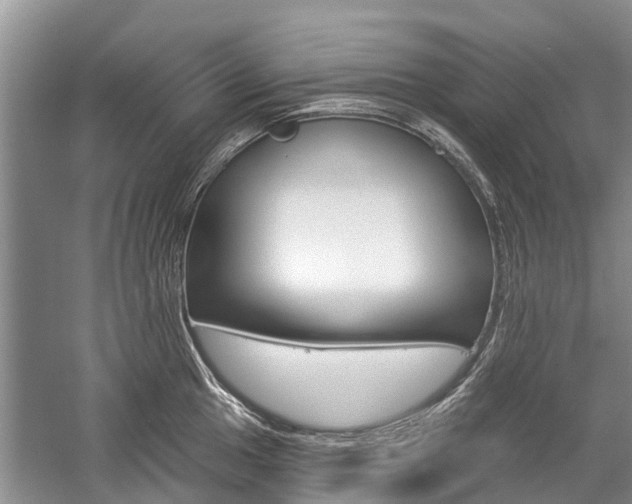 X0000059221049200510140754