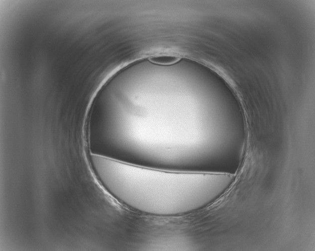 X0000059221056200510140754