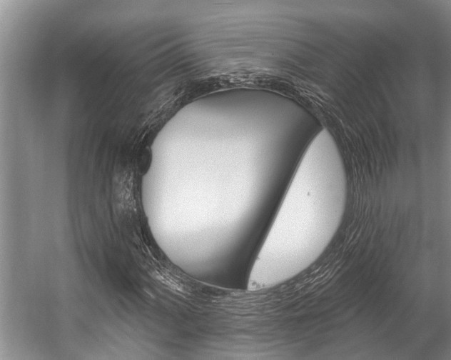 X0000059221060200510140753