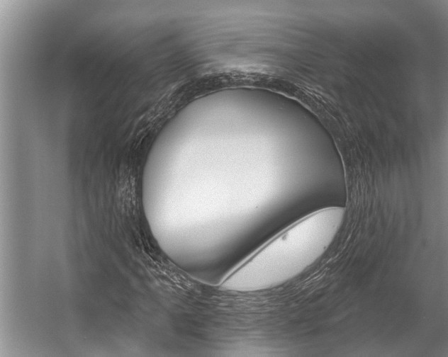 X0000059221061200510140753