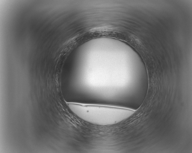 X0000059221062200510140753