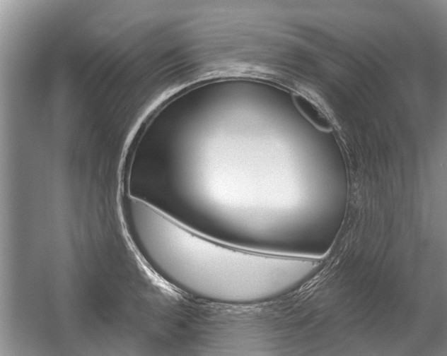 X0000059221136200510140752
