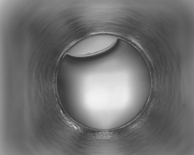 X0000059221137200510140752
