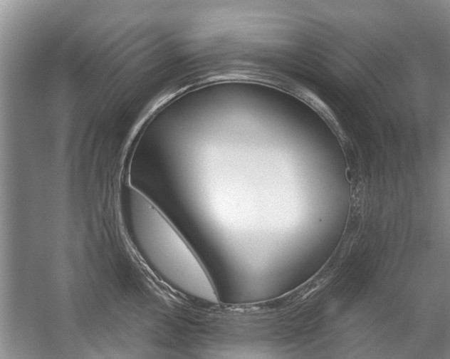 X0000059221146200510140752