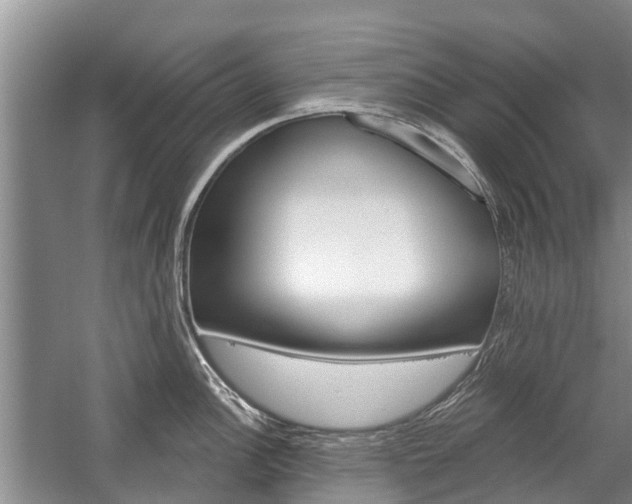 X0000059221148200510140752