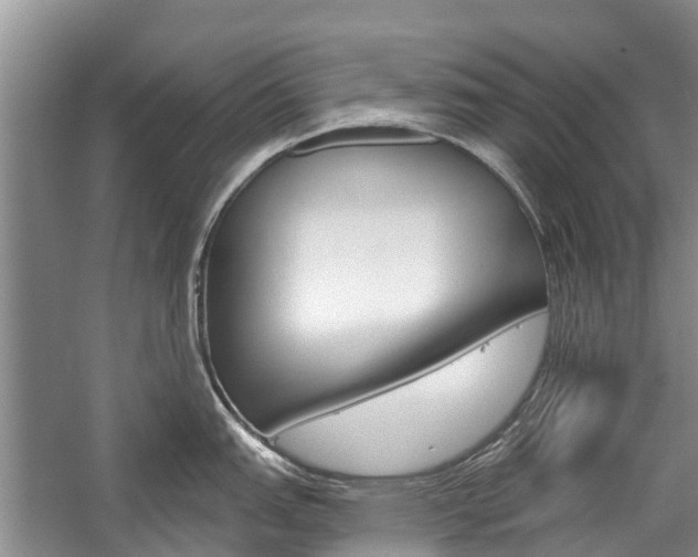 X0000059221151200510140752