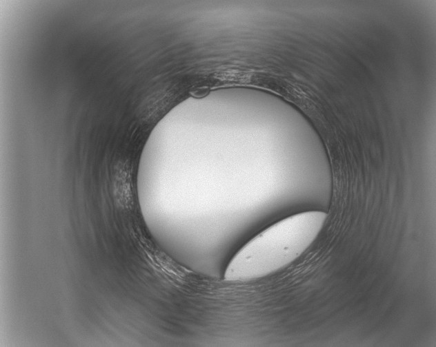 X0000059221154200510140752
