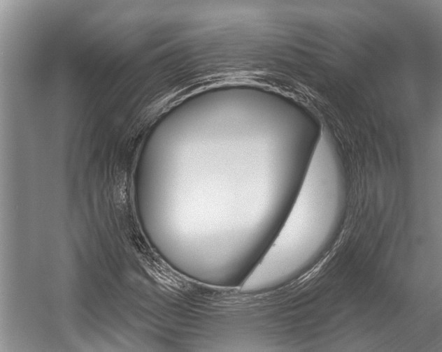 X0000059221161200510140752