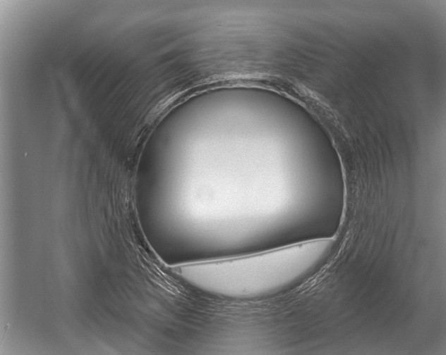 X0000059221169200510140751