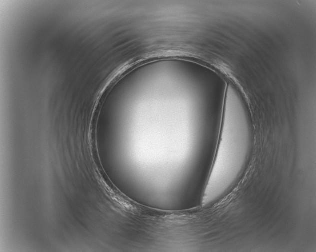 X0000059221181200510140751