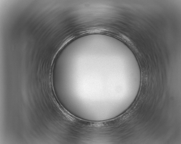 X0000059221186200510140751