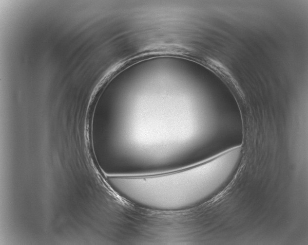 X0000059221188200510140751