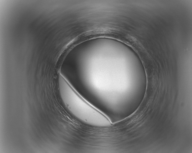 X0000059221210200510140750