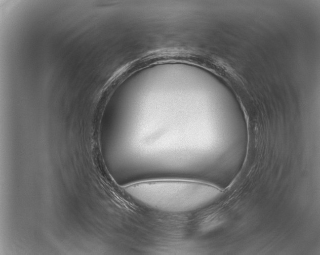 X0000059221213200510140750