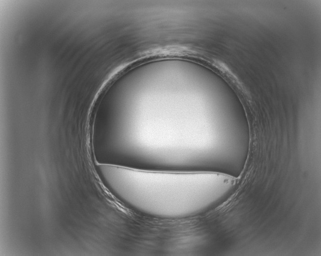 X0000059221232200510140751