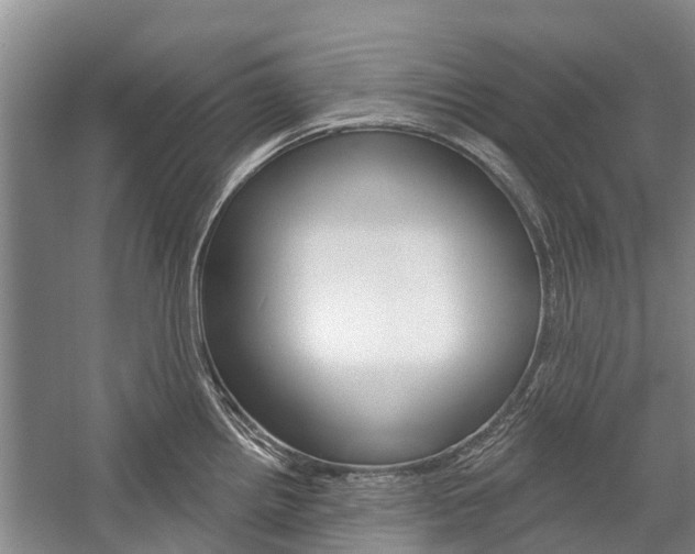 X0000059221242200510140751
