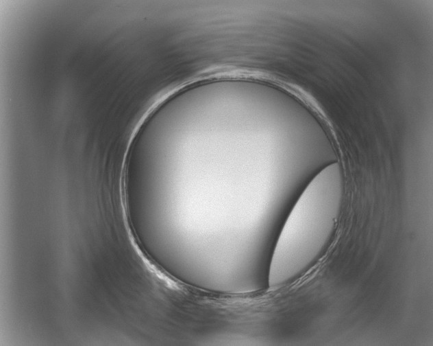 X0000059221247200510140751