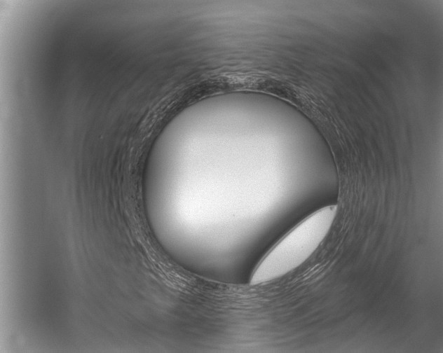 X0000059221249200510140750