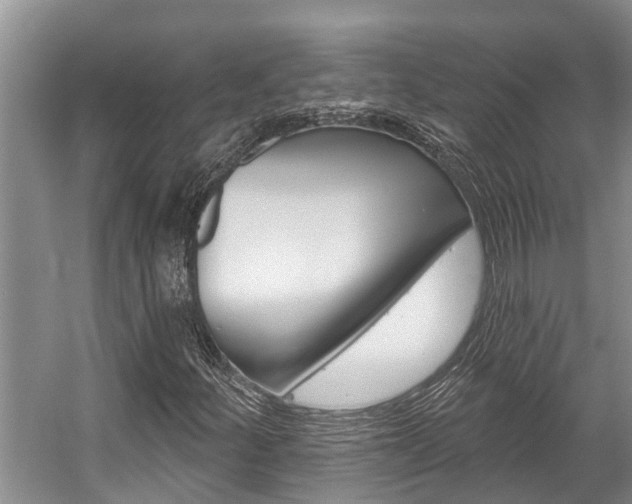 X0000059221252200510140750