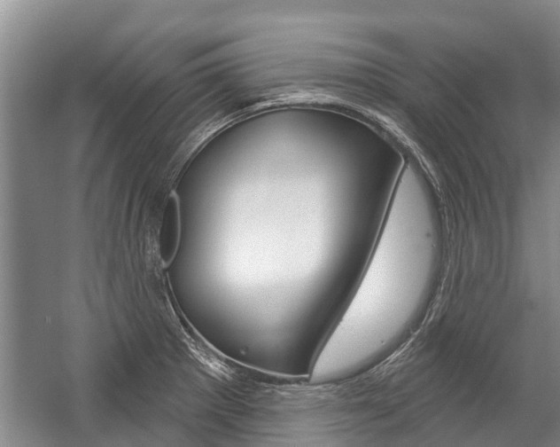 X0000059221281200510140749