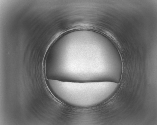 X0000059221283200510140749