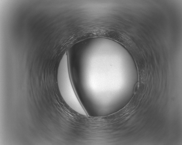 X0000059221298200510140748