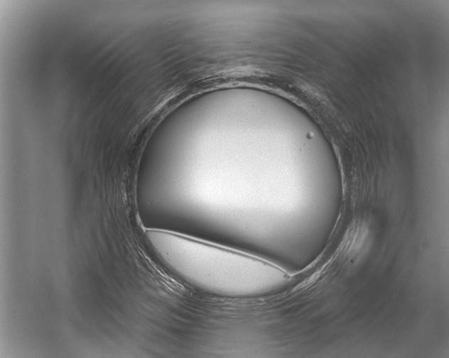 X0000059221305200510140748