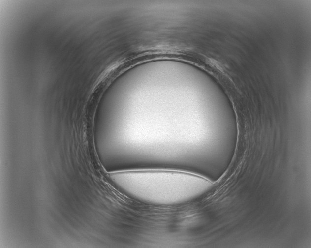 X0000059221307200510140749