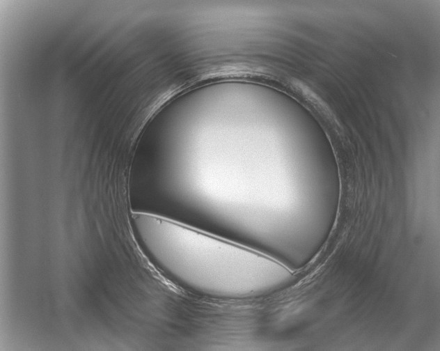 X0000059221329200510140749