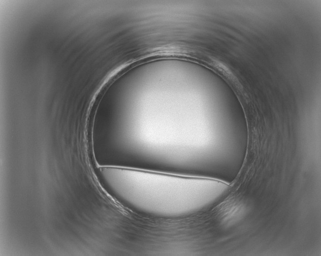 X0000059221331200510140749