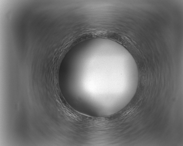 X0000059221345200510140748