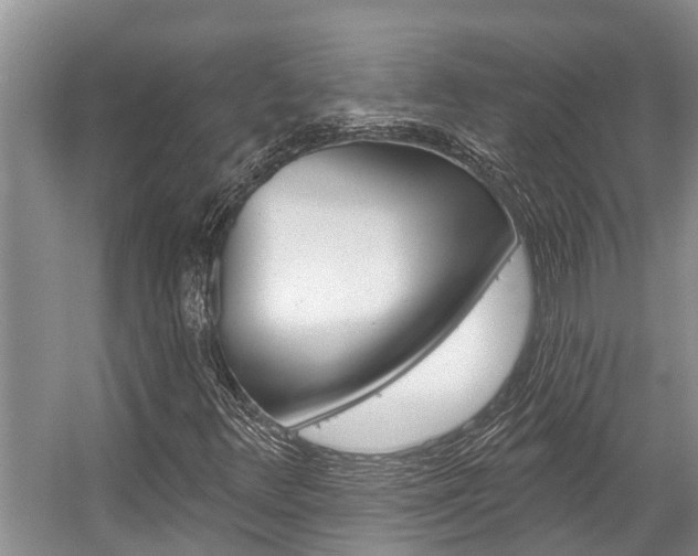 X0000059221348200510140748