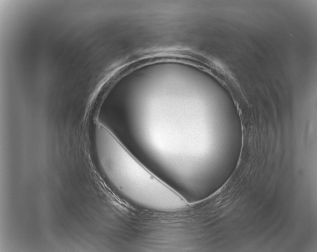 X0000059221360200510140748