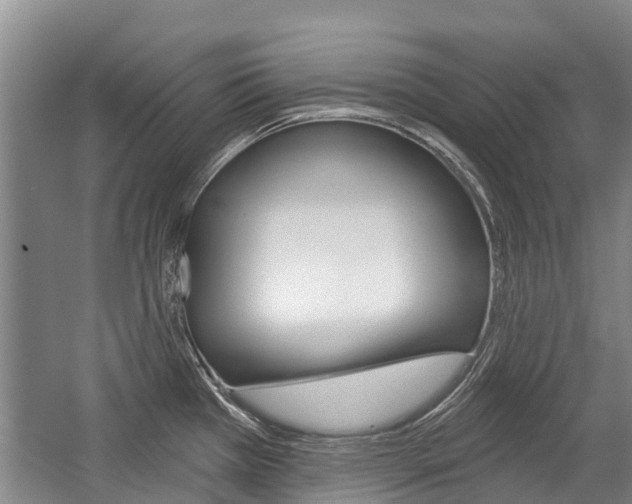 X0000059221385200510140748