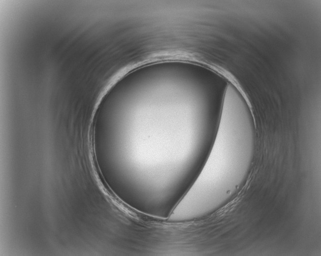 X0000059221389200510140748