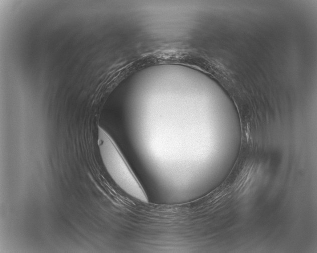 X0000059221396200510140747