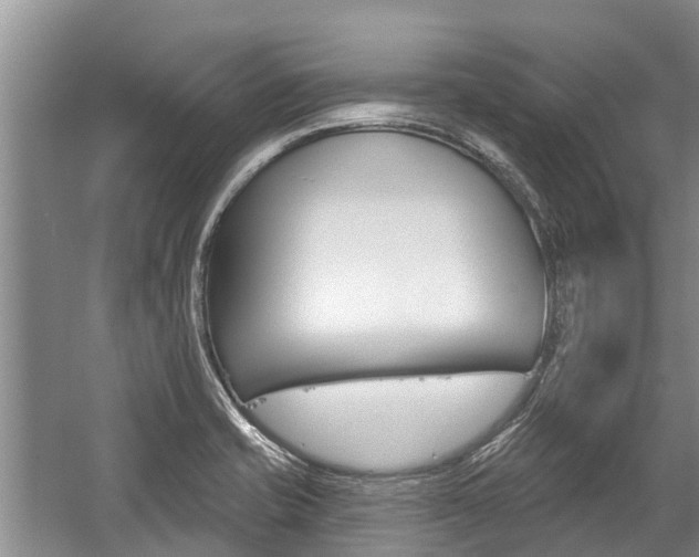 X0000059221421200510140747