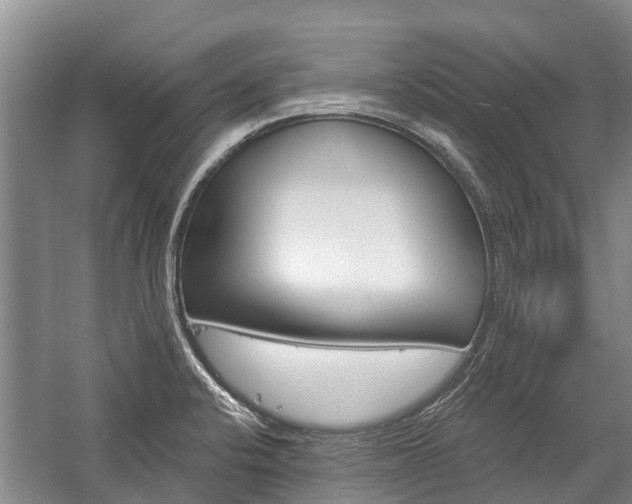 X0000059221424200510140747